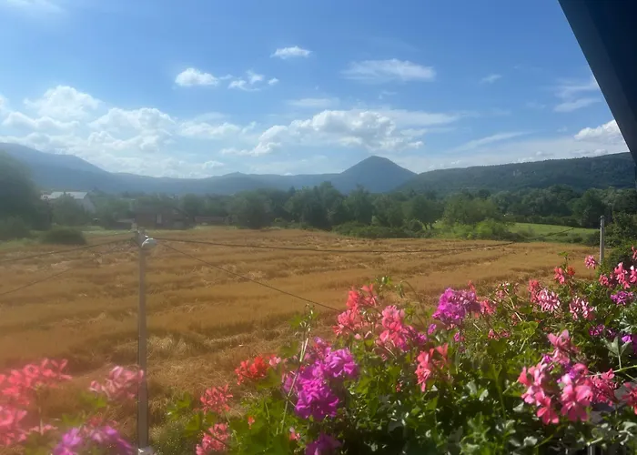 Apartment Naki Bihac